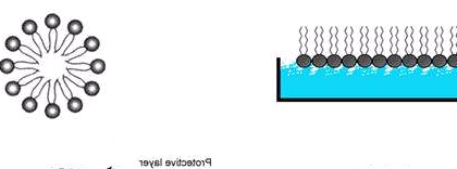 PCL-PEI，Polyethylenimine Modified PCL，聚己内酯-聚乙烯亚胺