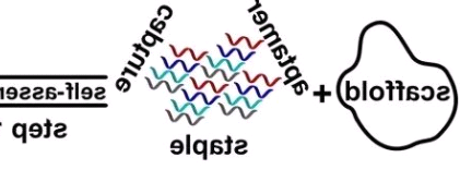 N3-PEG6-OH，叠氮六聚乙二醇羟基，Azido-PEG6-Hydroxy