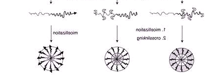DOTA-SH，DOTA-Thiol，DOTA-巯基衍生物的分子特性