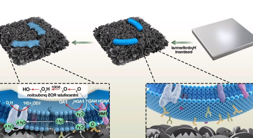 羟基化石墨烯分散液，Hydroxylated Graphene Dispersion