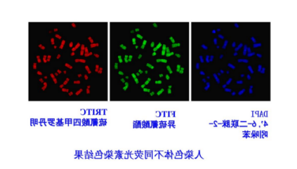 1594018271801168.png image.png