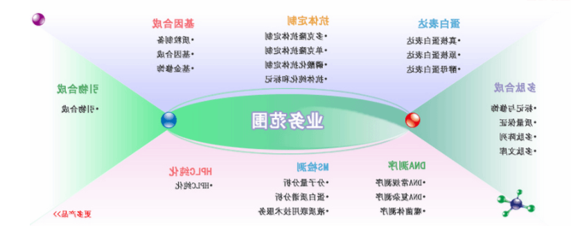 1597285835227671.png image.png