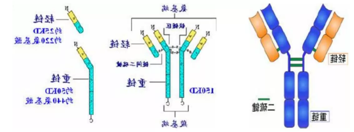 1603073301599657.png image.png