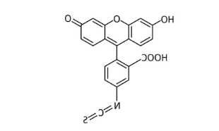1603937403838651.png image.png