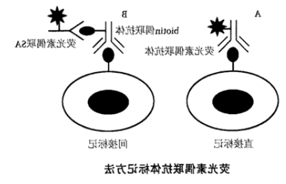 1604629417426580.png image.png