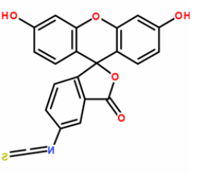 1605062415309989.png image.png