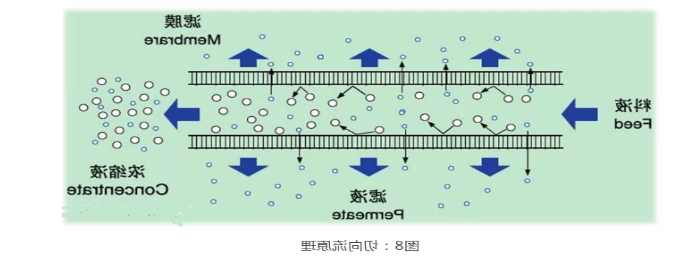 分离纯化单克隆抗体 分离纯化单克隆抗体