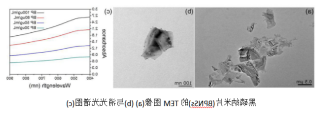 黑磷纳米片(BP NSs)