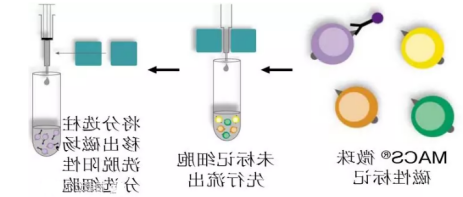 1611730337154362.png image.png