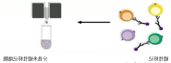 1611730389940682.png image.png