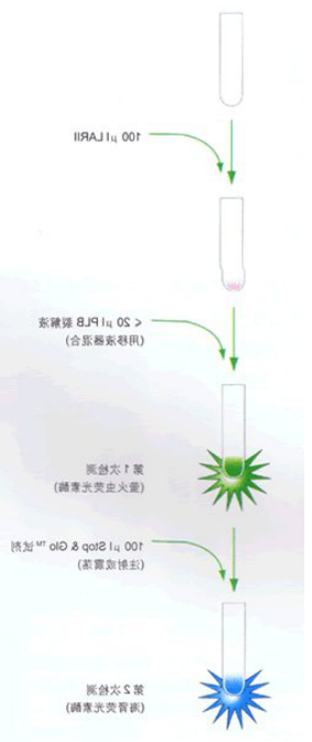 1613965032521579.png image.png