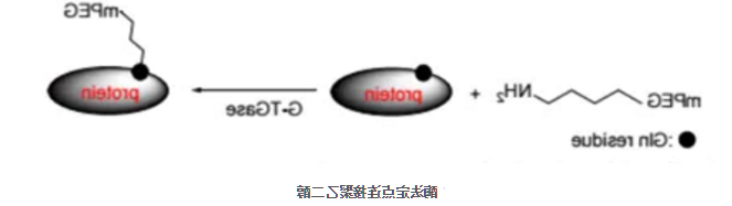 1617089407874668.png image.png