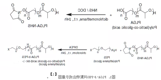 包载脂溶性**或水溶性**的PLGA-b-PEG纳米载体 包载脂溶性**或水溶性**的PLGA-b-PEG纳米载体