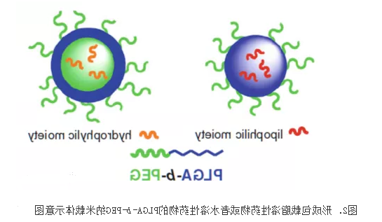 包载脂溶性**或水溶性**的PLGA-b-PEG纳米载体 包载脂溶性**或水溶性**的PLGA-b-PEG纳米载体