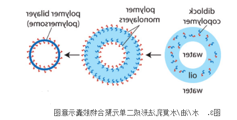 包载脂溶性**或水溶性**的PLGA-b-PEG纳米载体 包载脂溶性**或水溶性**的PLGA-b-PEG纳米载体