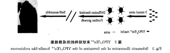 1627612817325885.png image.png