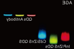 1636696453286184.png 1.png