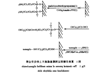 1637654808605691.png image.png