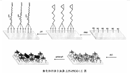 QQ截图20211124123725.png