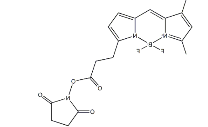 BDP FL NHS ester，cas146616-66-2.png
