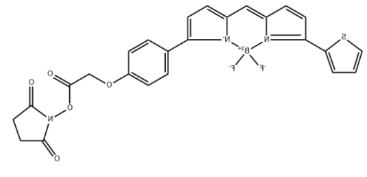 BDP TR NHS ester.png BDP TR NHS ester.png