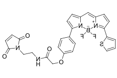 BDP TR maleimide.png BDP TR maleimide.png