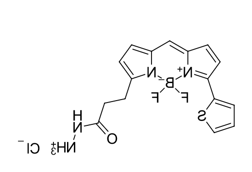 BDP 558/568 hydrazide.png
