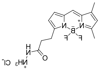 BDP FL hydrazide,cas2183473-45-0.png BDP FL hydrazide,cas2183473-45-0.png
