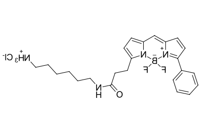 BDP R6G amine,cas2183473-06-3 (hydrochloride), 2183473-05-2.png