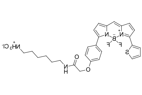 BDP TR amine,cas2183473-18-7.png