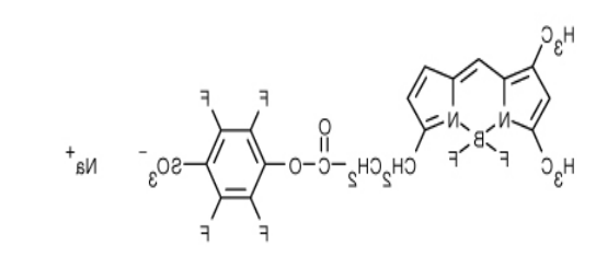 BODIPY FL, STP Ester, Sodium Salt.png BODIPY FL, STP Ester, Sodium Salt.png