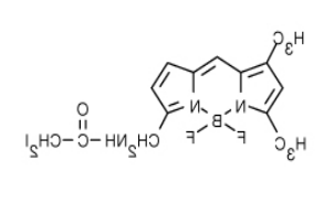 BODIPY FL 碘乙酰胺.png