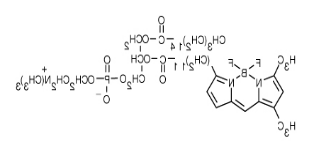 β-BODIPY FL C12-HPC.png β-BODIPY FL C12-HPC.png
