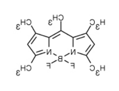 BODIPY 493/503.png