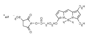 BODIPY FL Sulfonated Succinimidyl Ester.png BODIPY FL Sulfonated Succinimidyl Ester.png