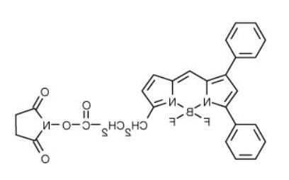 BODIPY 530/550.png BODIPY 530/550.png