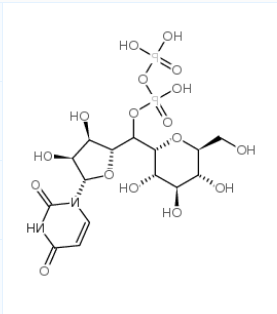 尿苷二磷酸葡萄糖.png