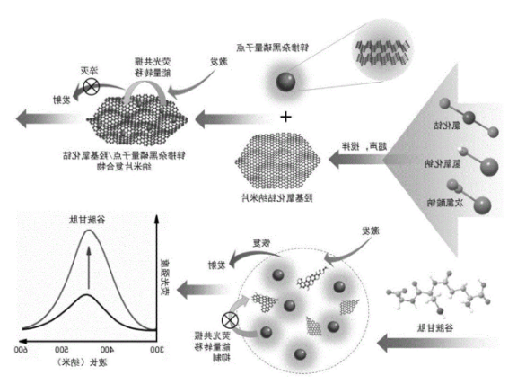 锌掺杂黑磷量子点(Zn-BPQDs).png