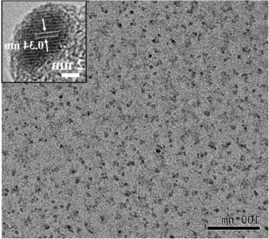 羟基化黑磷量子点(BPQDs)水基溶液.png
