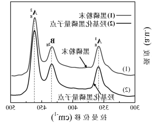 羟基化黑磷量子点(BPQDs)水基溶液.png