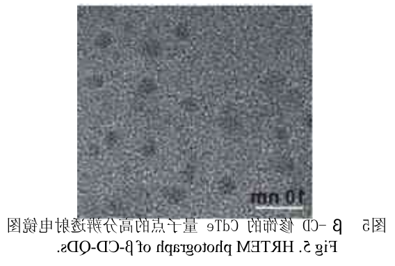 环糊精修饰碲化镉CdTe量子点.png