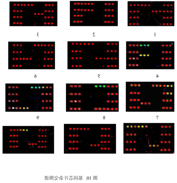 //zhengjiezs.com/product/86758.png