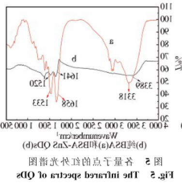 BSA-ZnSQDs.png BSA-ZnSQDs.png