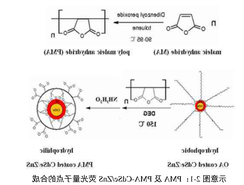 PMA-CdSe/ZnS QDs.png PMA-CdSe/ZnS QDs.png