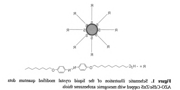 AZO-CdSe/ZnSQDs.png AZO-CdSe/ZnSQDs.png