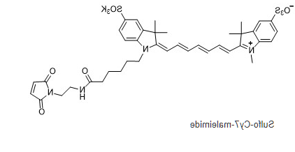 Sulfo-Cy7 maleimide.png Sulfo-Cy7 maleimide.png
