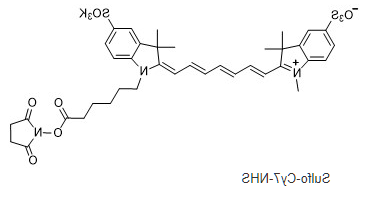 Sulfo CY7-NHS.png