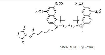 Sulfo cy3.5 NHS ester.png