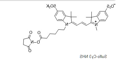 Sulfo-Cyanine3 NHS ester.png