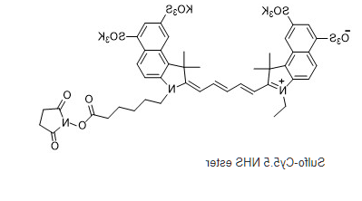 Sulfo Cy5.5-NHS ester.png Sulfo Cy5.5-NHS ester.png